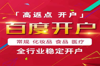 百度推广在电商行业的应用案例分析