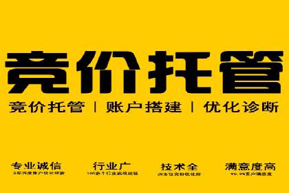 某企业SEM广告投放的ROI提升策略及效果展示